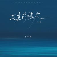 王小帅 - 天真的橡皮 (DJ豪大大版)