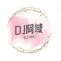 DJ阿域
