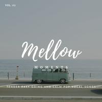 Mellow Moments - Tender Easy Going And Calm Pop Vocal Songs, Vol. 02