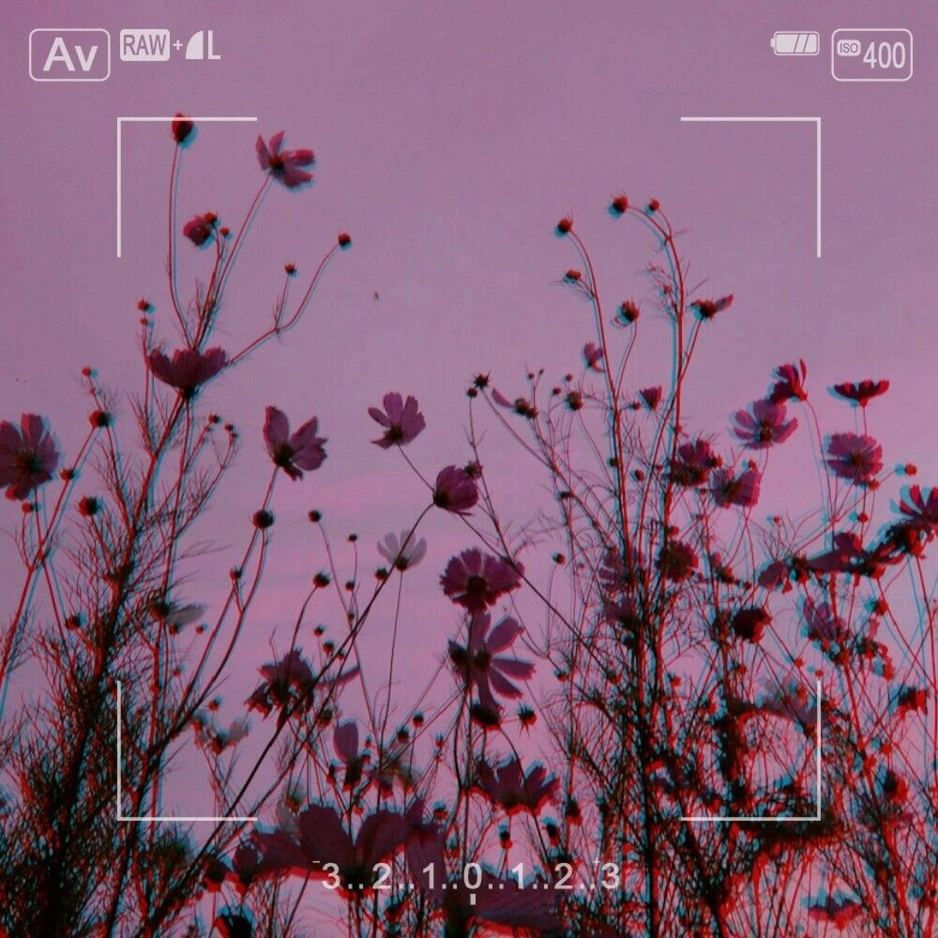 Humming Bees (feat. Mewatonin)