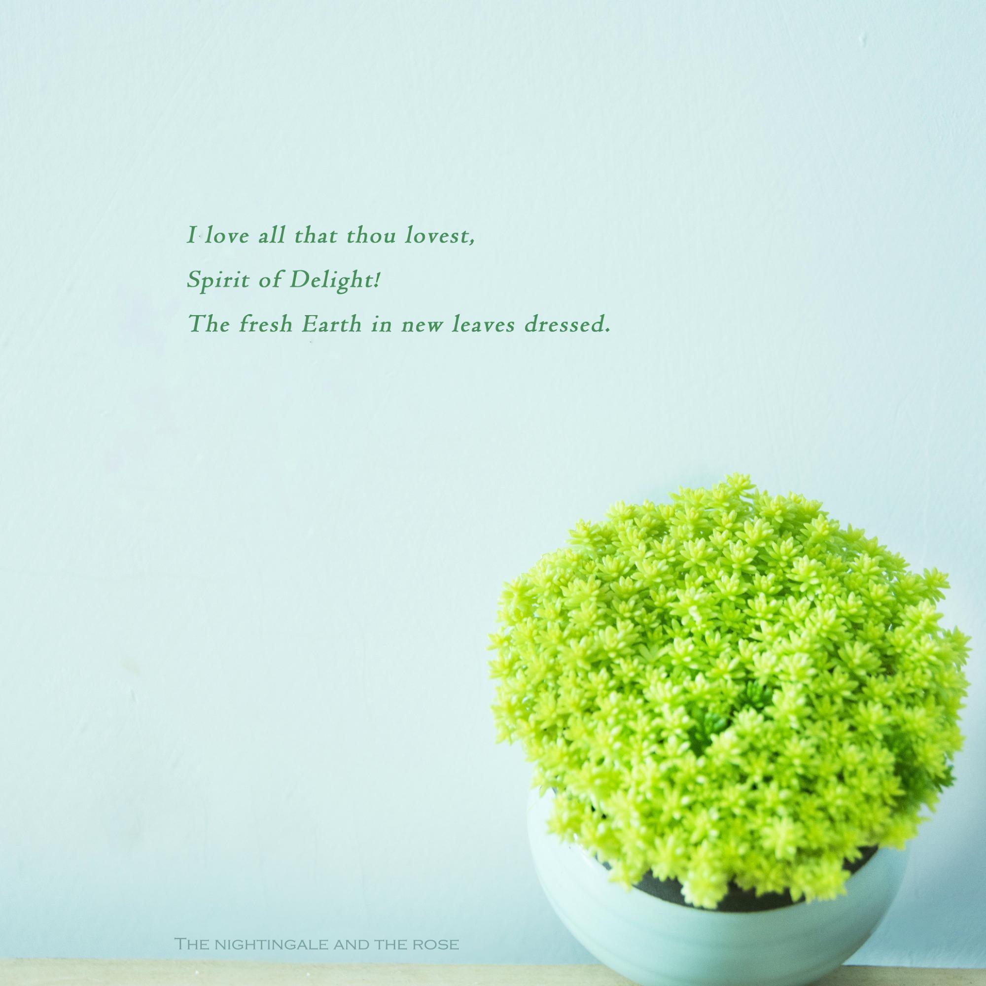 【轻音乐】| 放松，舒缓，减压，治愈