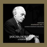 A Portrait, Vol. 7: Jascha Horenstein (Remastered 2022)