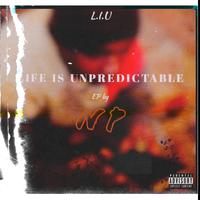 Life Is Unpredictable Ep