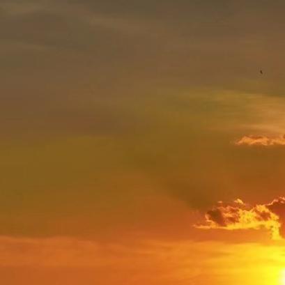 怎说安守我本分