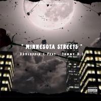 Minnesota Streets (feat. Tommy D.)