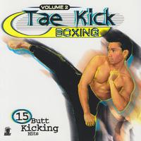 Tae Kick Boxing, Vol. 2