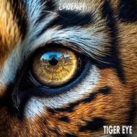 Tiger eye (D&B mix)