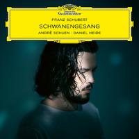 Schubert: Schwanengesang, D. 957: XII. Am Meer (Sehr langsam)