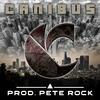 Canibus - Concourse P (Remix)