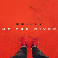 Prilly up the River (Sly Remix) [feat. Sly & Robbie]