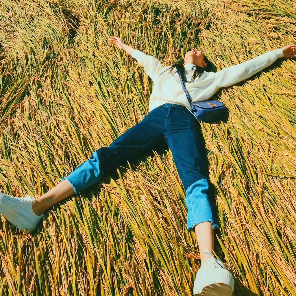 给我一碟茴香豆