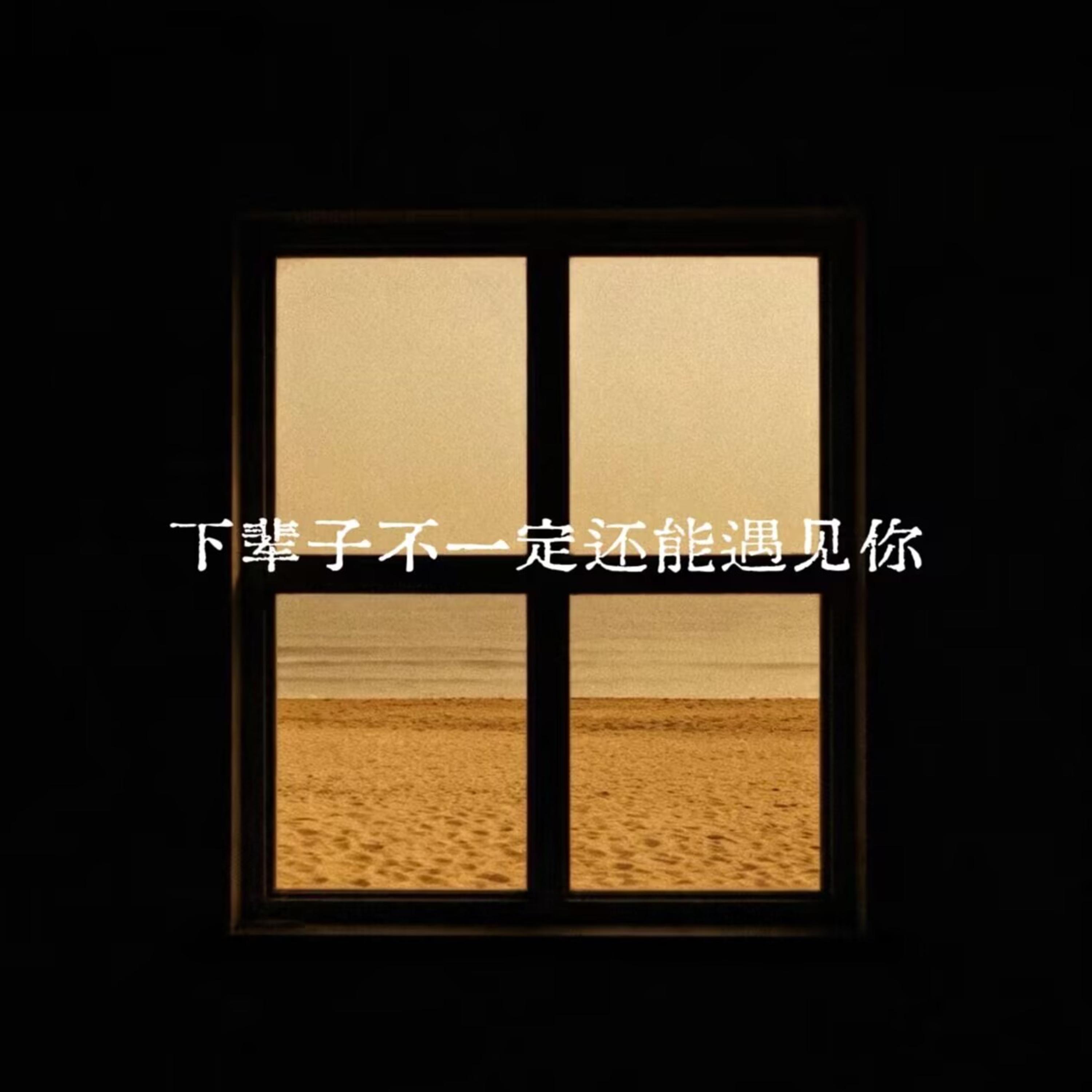 下辈子不一定还能遇见你封面