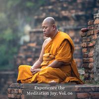 Experience the Meditation Joy, Vol. 06