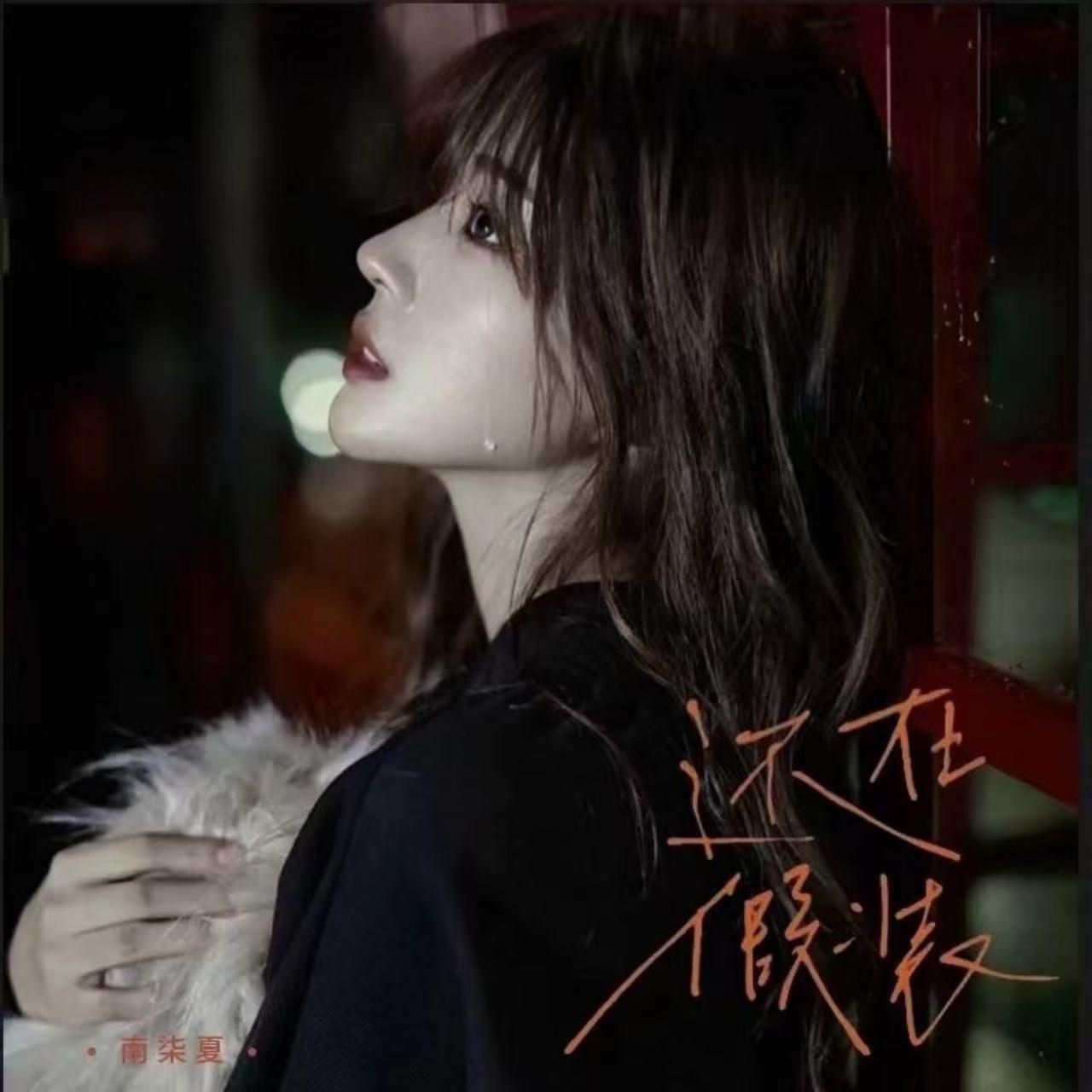 还在假装封面
