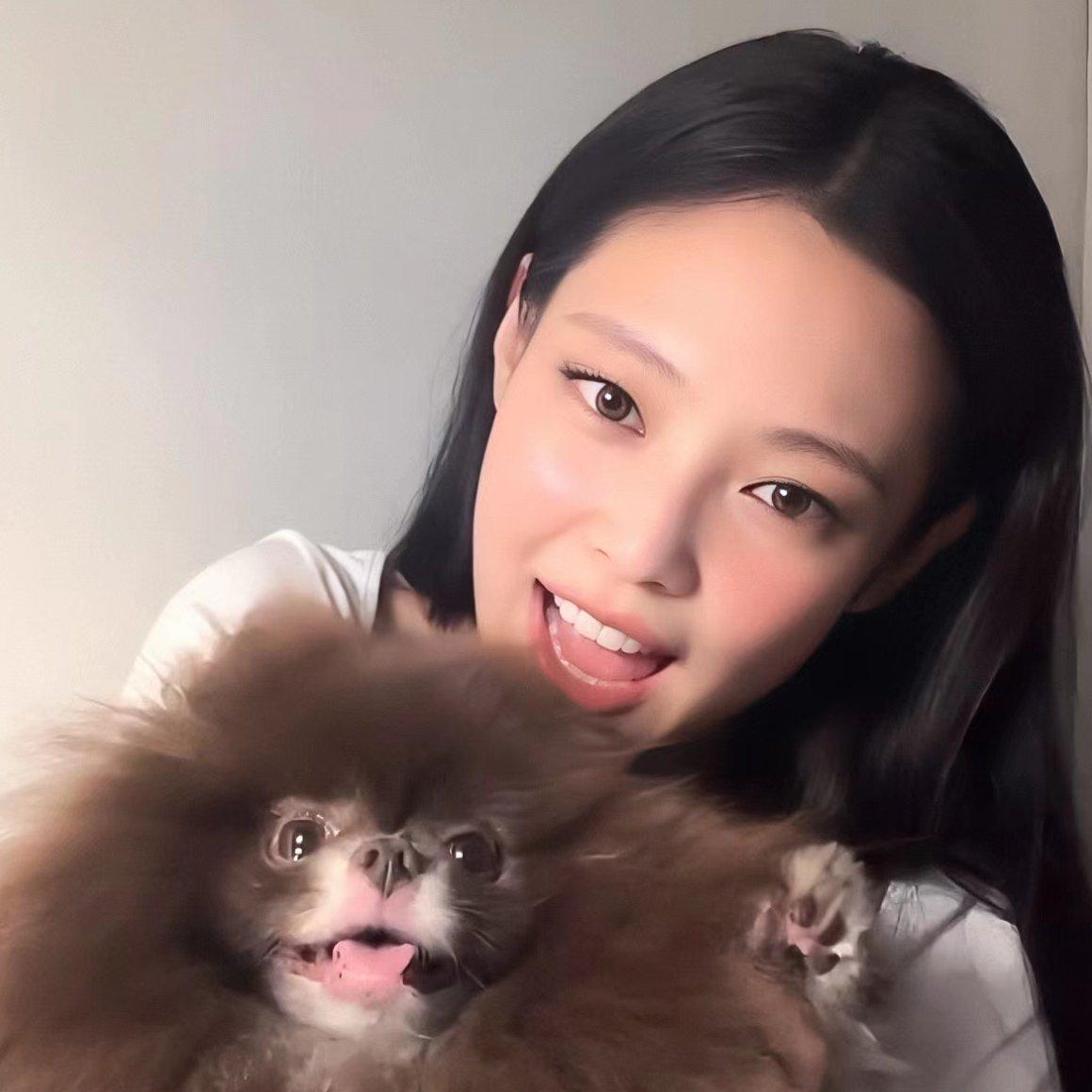 金珍妮的较全歌单❤️Jennie新歌Love Hangove