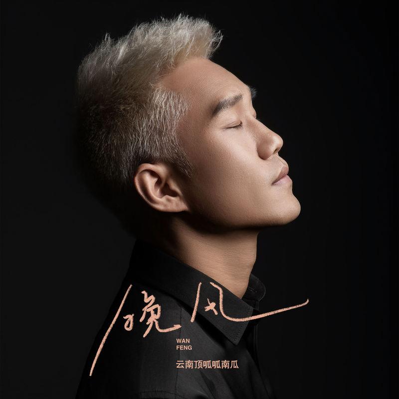 晚风 (DJ版)封面