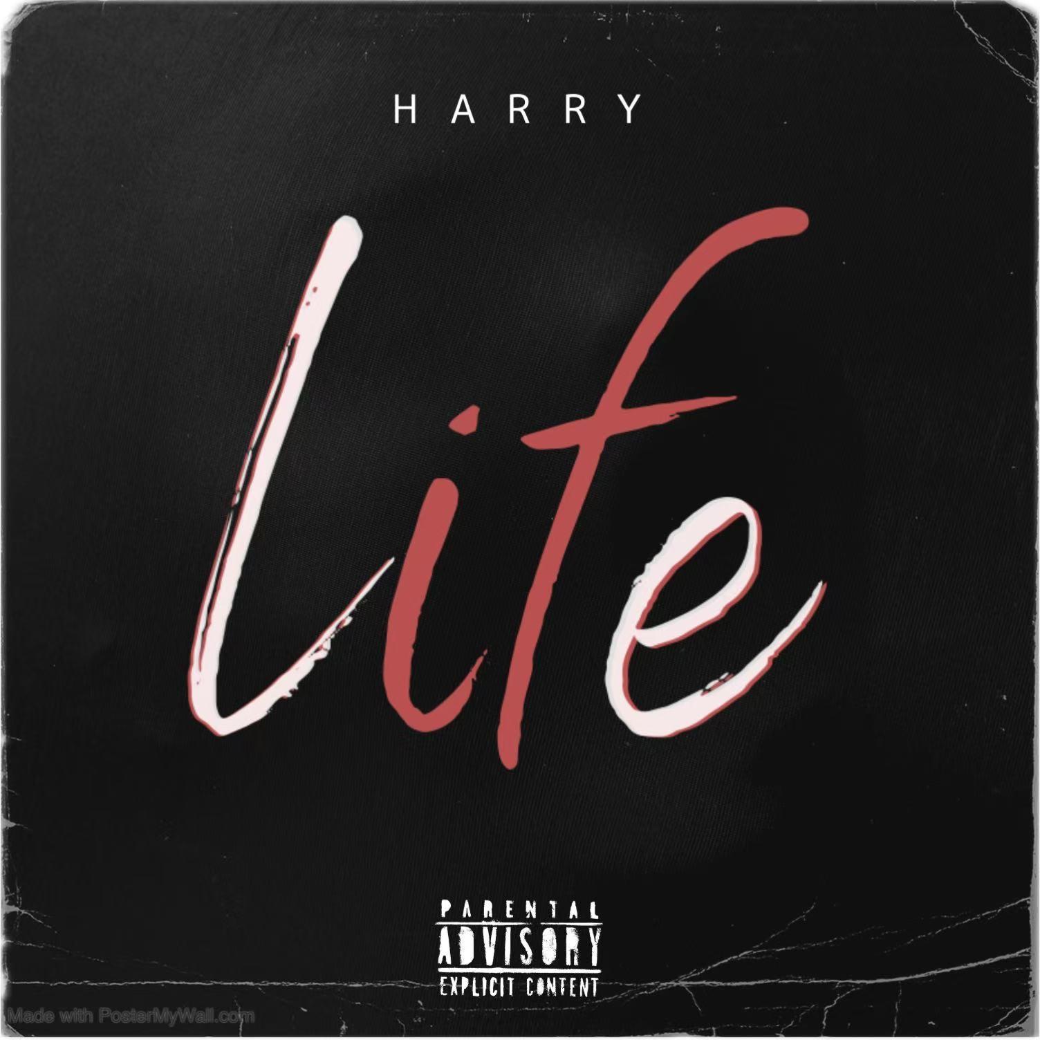 如果生活_Harry海锐_「我的人生手册」特别企划 Vol.1 | 在线播放_如果生活歌词_如果生活下载 | 网易云音乐