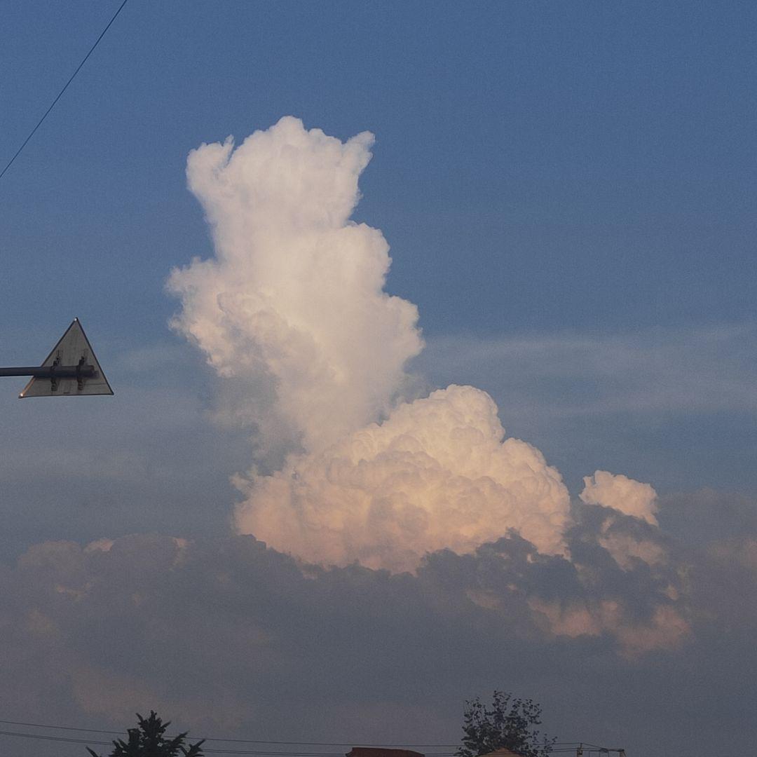 花 間 簇 雲 朵 。