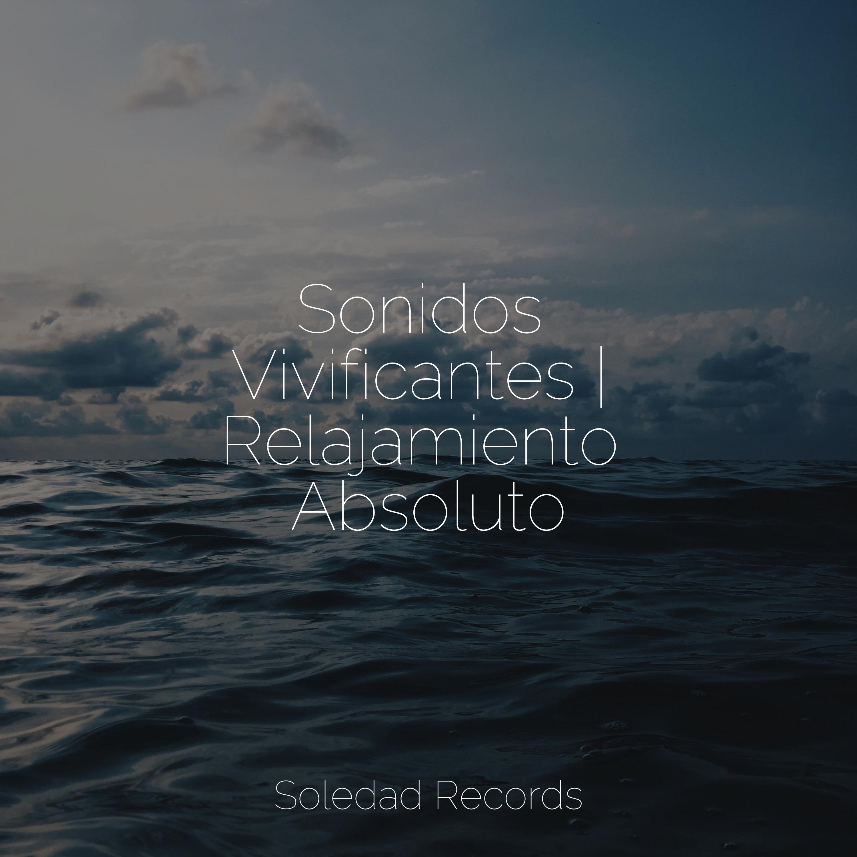 Profundo En La Serenidad