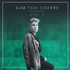 Sam Tsui - Don't Wanna Know/We Don't Talk Anymore