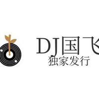 DJ国飞