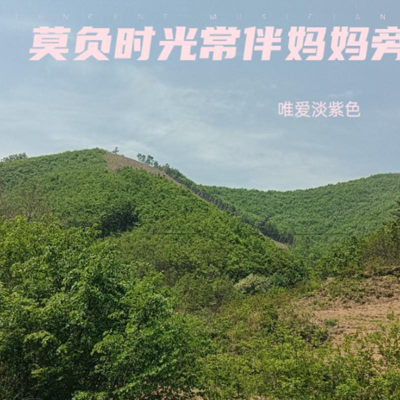 莫负时光常伴妈妈旁封面