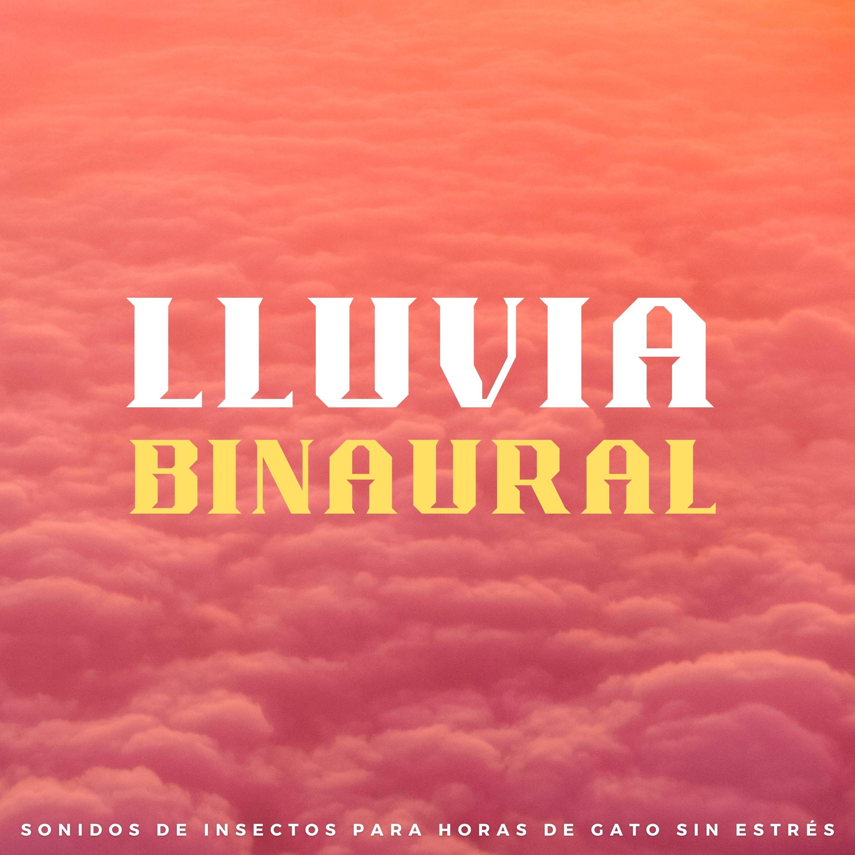 Lluvia Con Una Sinfonía De Insectos_Chico binaural_Lluvia Binaural: Sonidos De Insectos Para Horas De Gato Sin Estrés | 在线播放_Lluvia Con Una Sinfonía De Insectos歌词_Lluvia Con Una Sinfonía De Insectos下载 | 网易云音乐