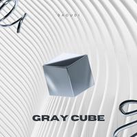 Gray Cube (Radio Edit)