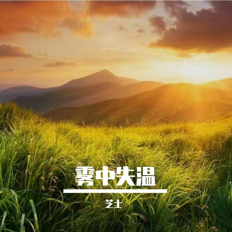 桀骜傲红尘封面