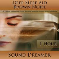 Brown Noise (Deep Sleep Aid) [For Tinnitus, Insomnia, De-Stress, Massage, Meditation, Holistic Healing, Relaxation] [1 Hour]