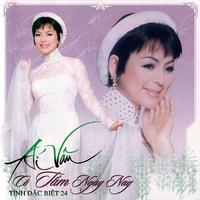 Ái Vân - Cô Tấm ngày nay