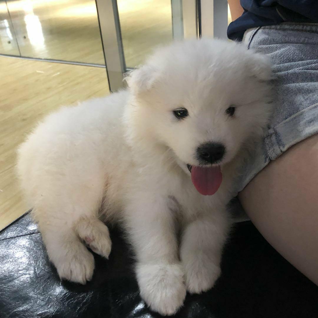 里昂没有肯尼迪