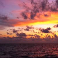 子衿在我心资料,子衿在我心最新歌曲,子衿在我心MV视频,子衿在我心音乐专辑,子衿在我心好听的歌