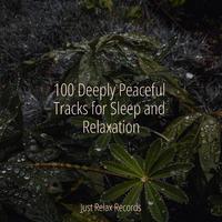 100 Deeply Peaceful Tracks for Sleep and Relaxation