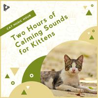 2 Hours of Calming Sounds for Kittens