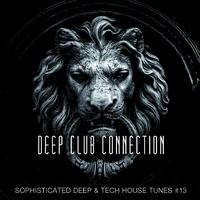 Deep Club Connection, Vol. 13