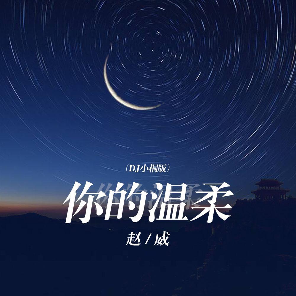 你的温柔 (DJ版)封面