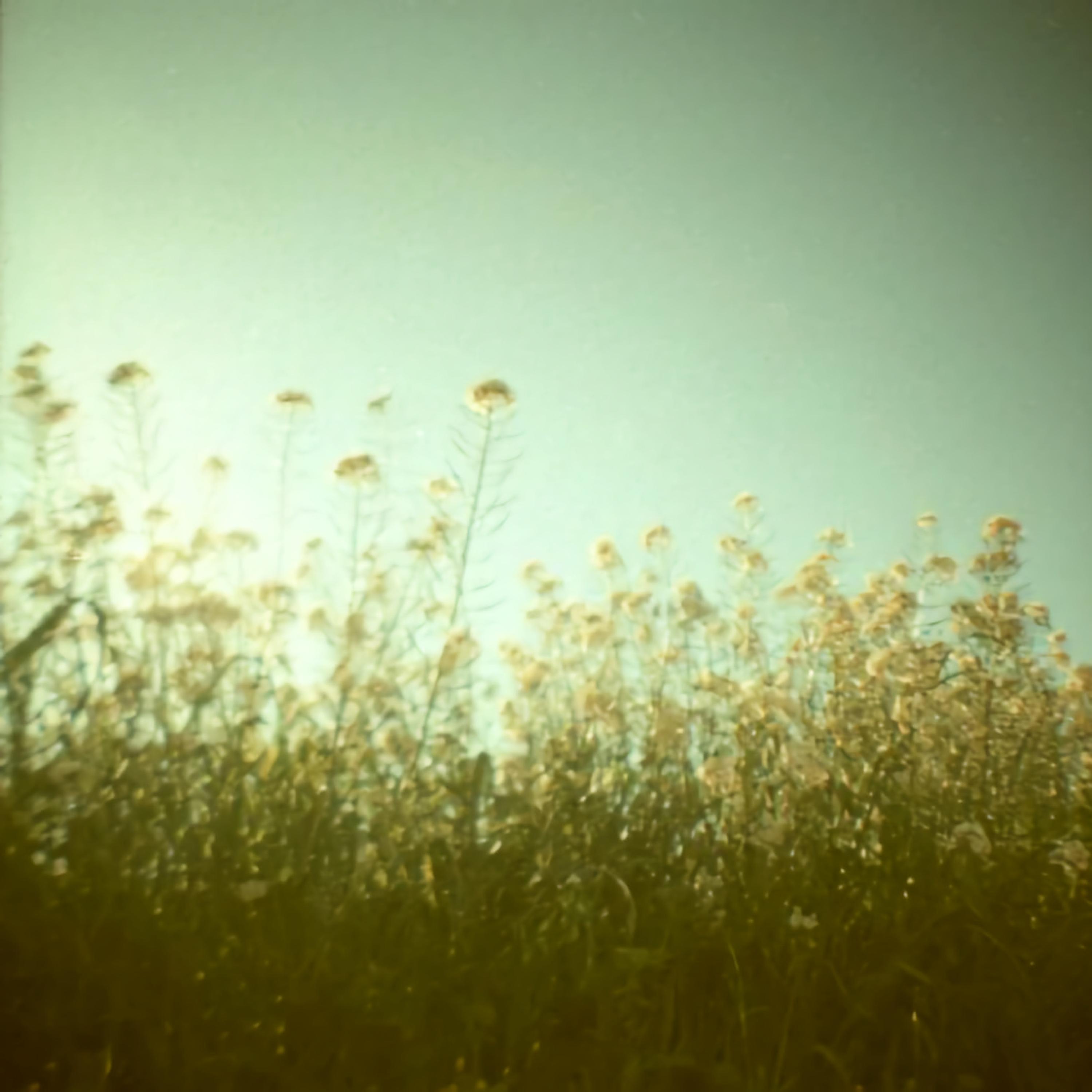 Lovely (feat. Thalia Cutrona)