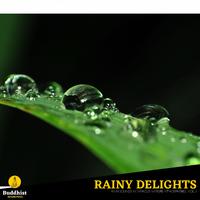 Rainy Delights - Rain Sounds in various Nature Atmospheres, Vol. 1