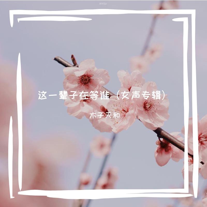 这一辈子在等谁（交际舞曲 G调旋律）封面