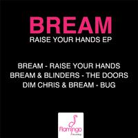 Raise Your Hands E.P. (Extended Mix)