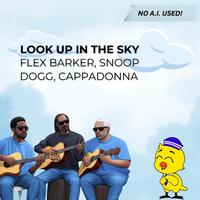 Look up in the Sky