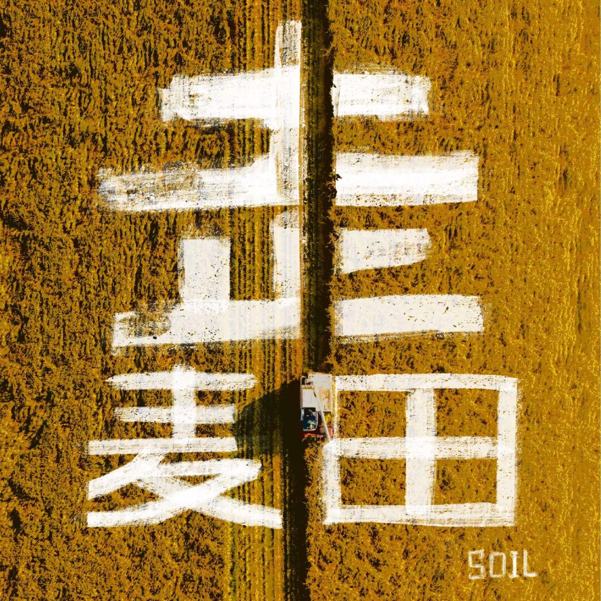 走麦田封面
