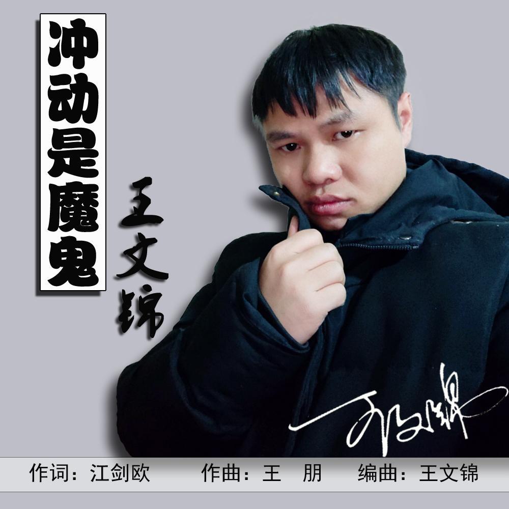 冲动是魔鬼 王文锦演唱WAV - 王文文封面