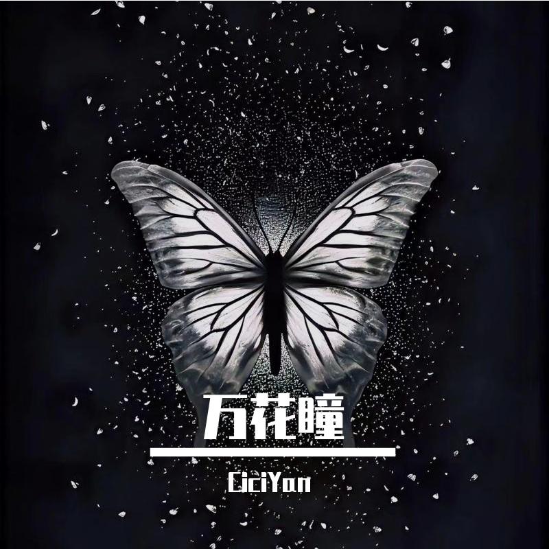 万花瞳封面