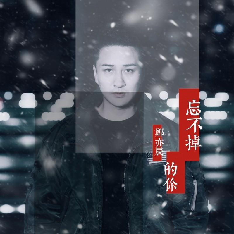 忘不掉的你 (伴奏)封面