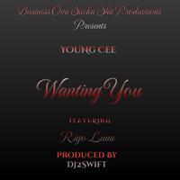 Wanting You (feat. Rigo Luna)