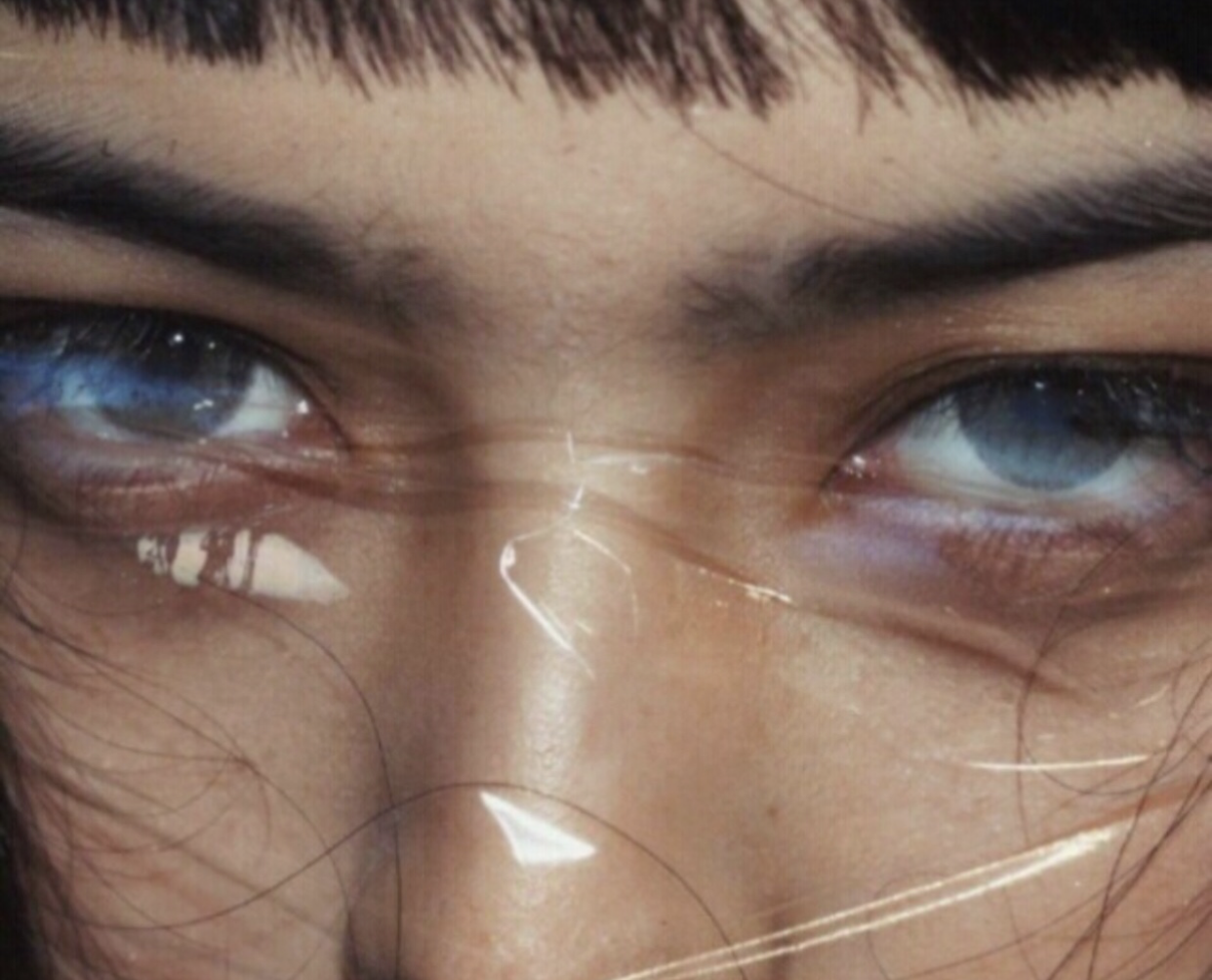 Seer