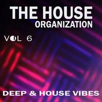 The House Organization, Vol. 6