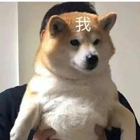 阳光小昂资料,阳光小昂最新歌曲,阳光小昂MV视频,阳光小昂音乐专辑,阳光小昂好听的歌